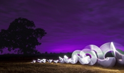 Header for Commercial Law