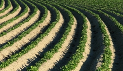 Header for Restructuring & Special Situations