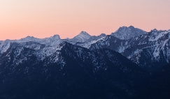 Header for Antitrust & Competition