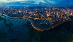 Header for Global Litigation