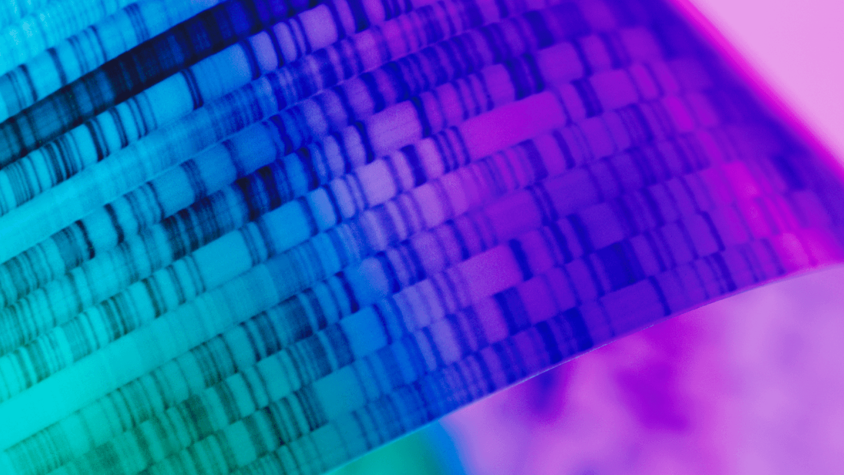 Header for Introduction to Strategy Consulting