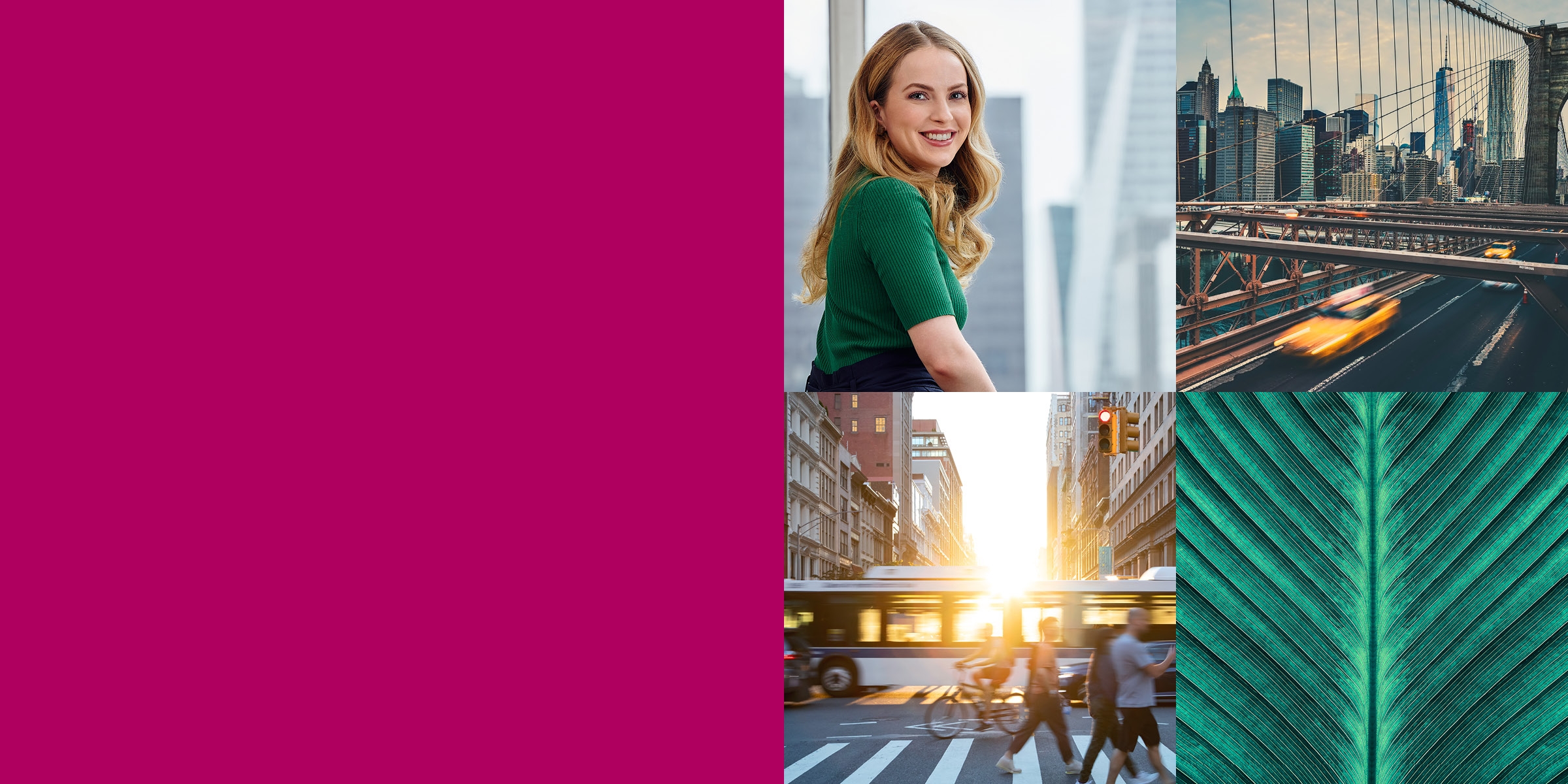 Header for US Commercial Law