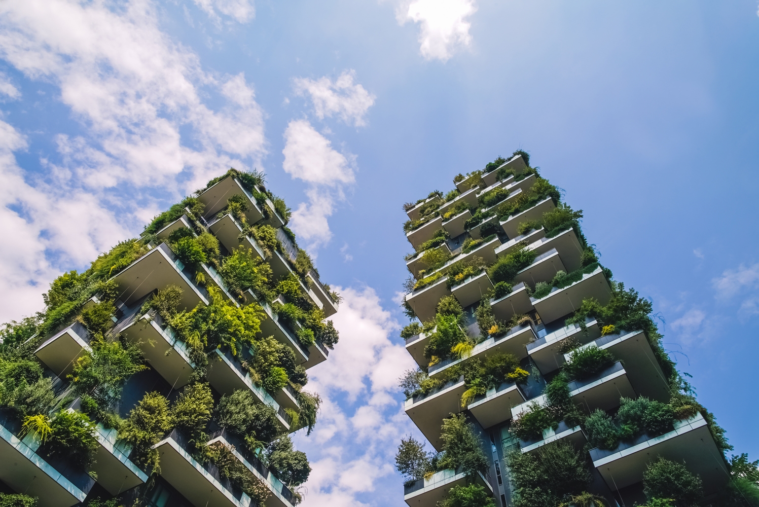 Header for Financial Services: Climate Change