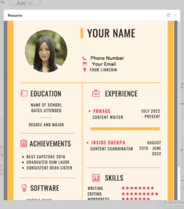 A picture of an Infographic resume