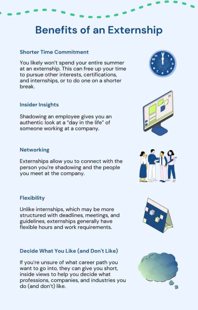 A Day in the Life of a Software Developer: Insider Insights